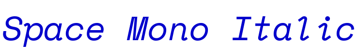 Space Mono Italic フォント